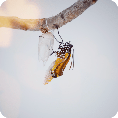 Ses & Sexual Feelings