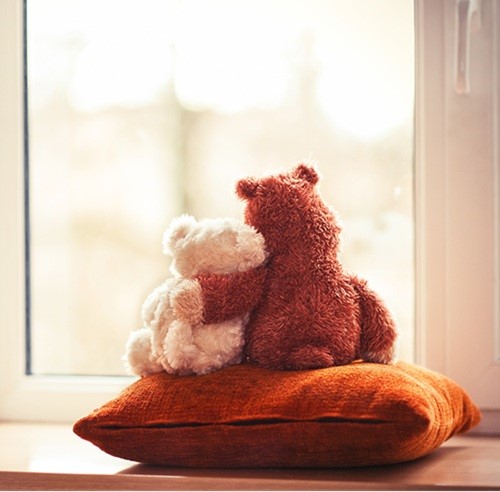 Cute Bears Loss 2024